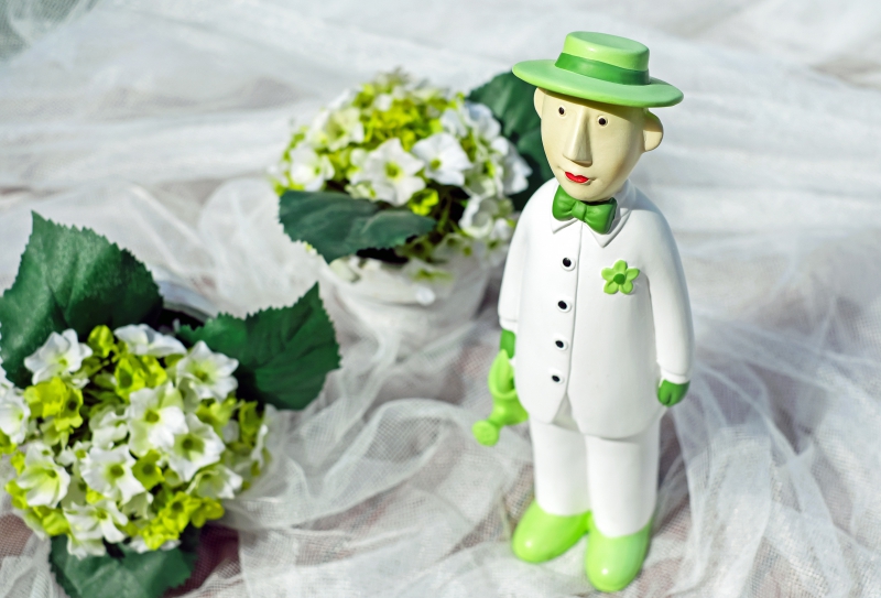 boutique-ST CYR SUR MER-min_man-person-flower-green-toy-fig-546529-pxhere.com